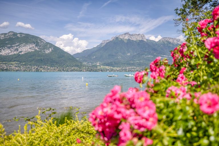 maison 25 Pièces en vente sur ANNECY (74000)