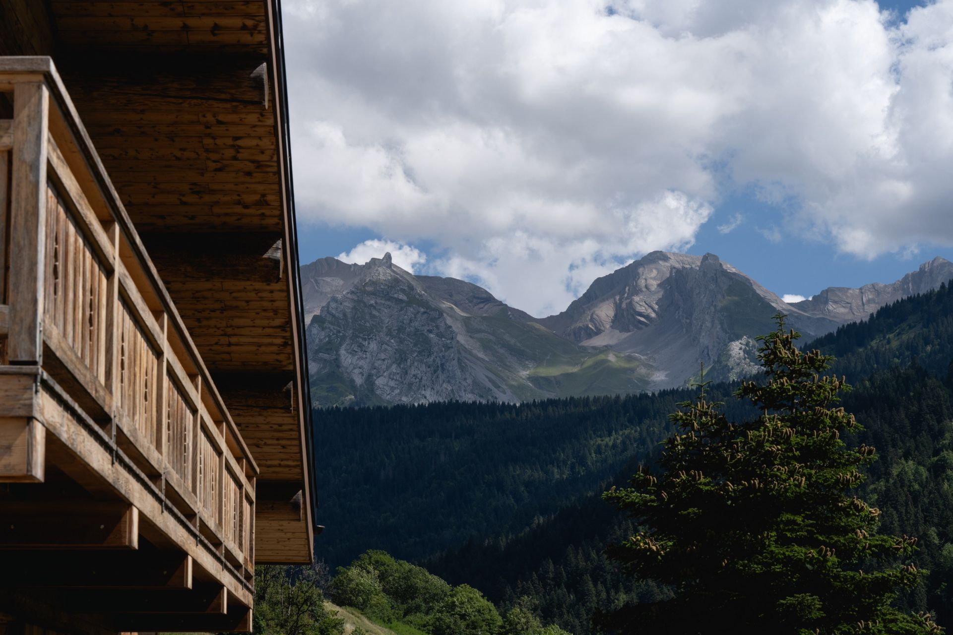 house 10 Rooms for sale on LE GRAND BORNAND (74450)