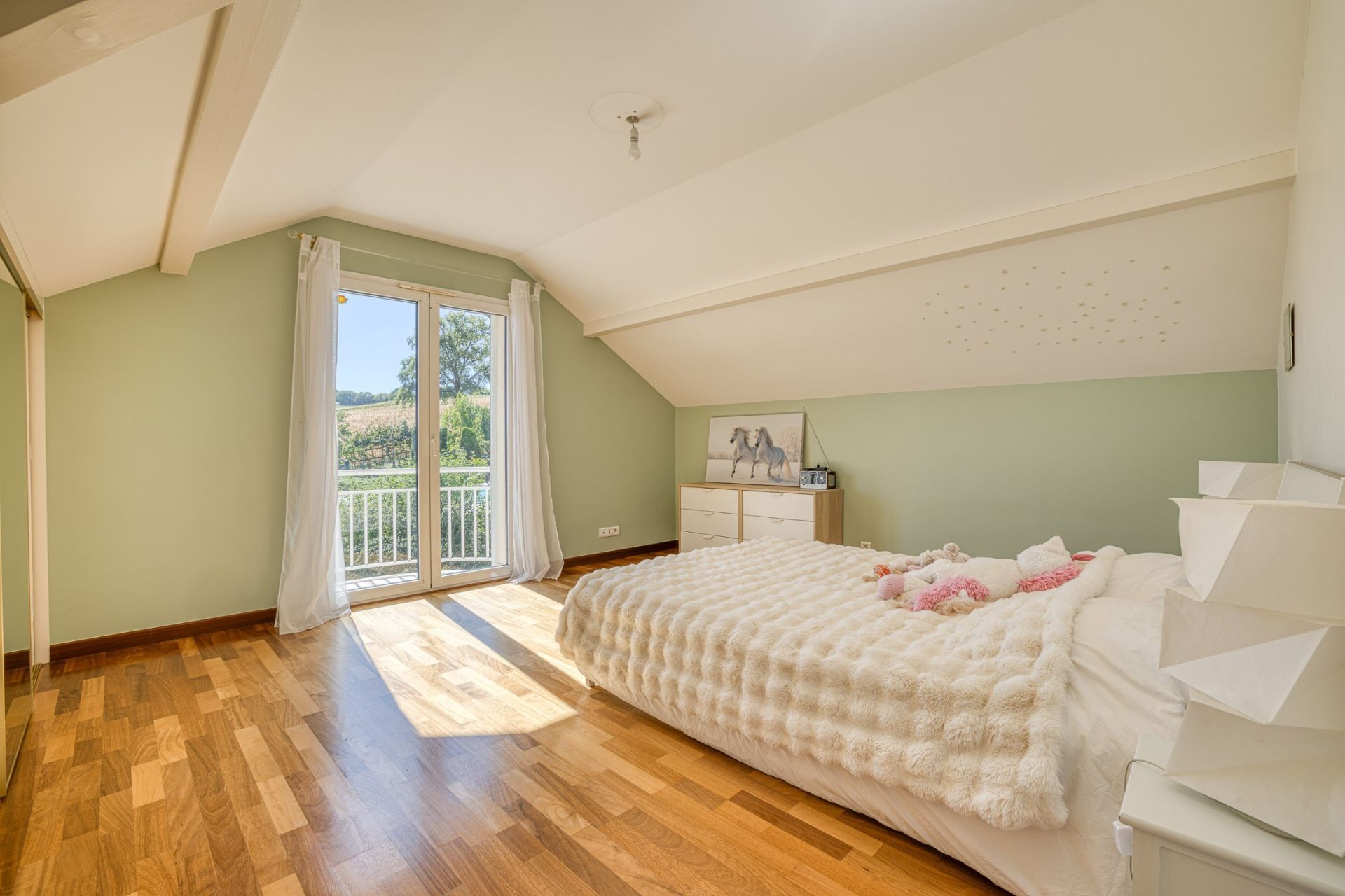 house 10 Rooms for sale on LA BALME DE SILLINGY (74330)