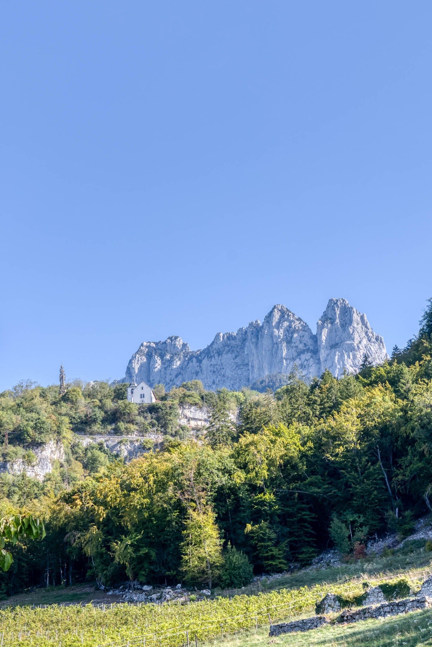 appartement 3 Pièces en vente sur TALLOIRES (74290)