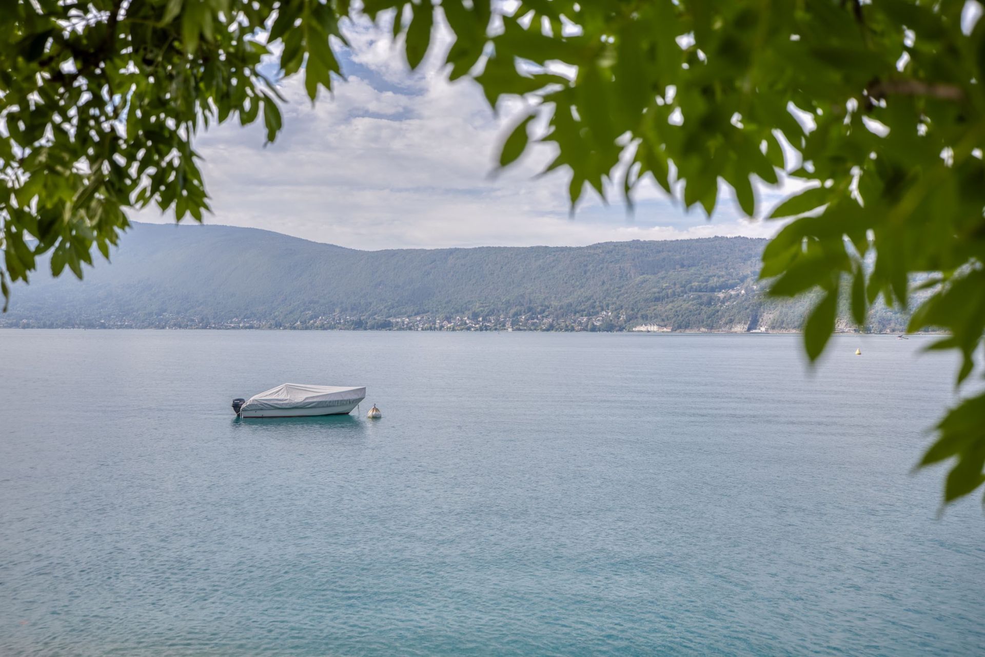 appartement 8 Pièces en vente sur VEYRIER DU LAC (74290)