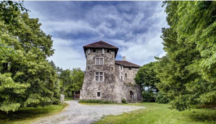 Vente Château Cran-Gevrier 17 Pièces 750 m²