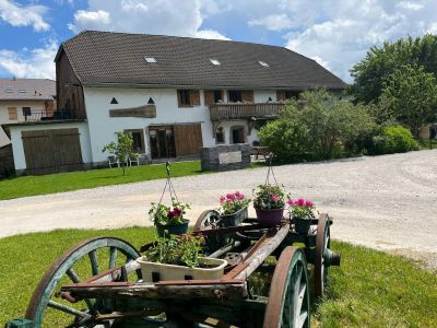 Vente Propriété Taninges 38 Pièces 758 m²