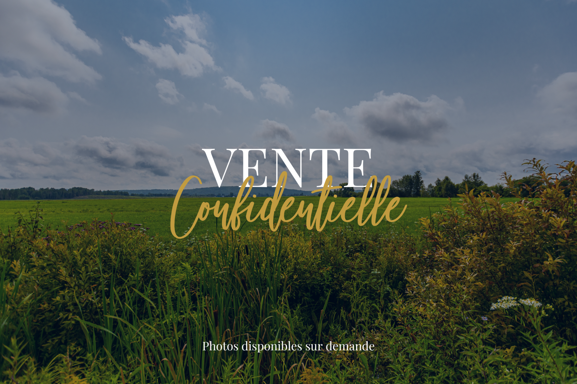 terrain en vente sur ALLONZIER LA CAILLE (74350)