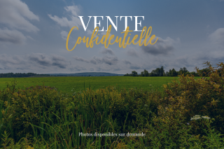 land for sale on ALLONZIER LA CAILLE (74350)