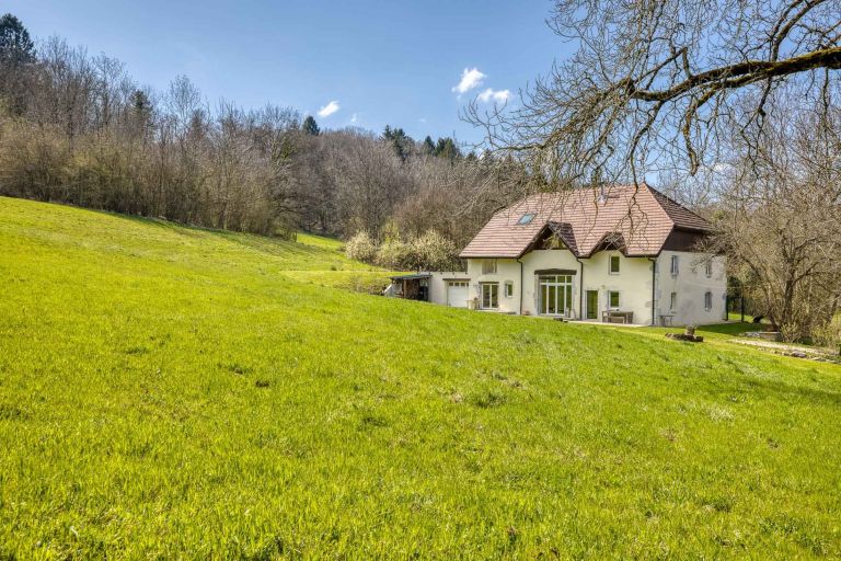 maison 9 Pièces en vente sur ALLONZIER LA CAILLE (74350)