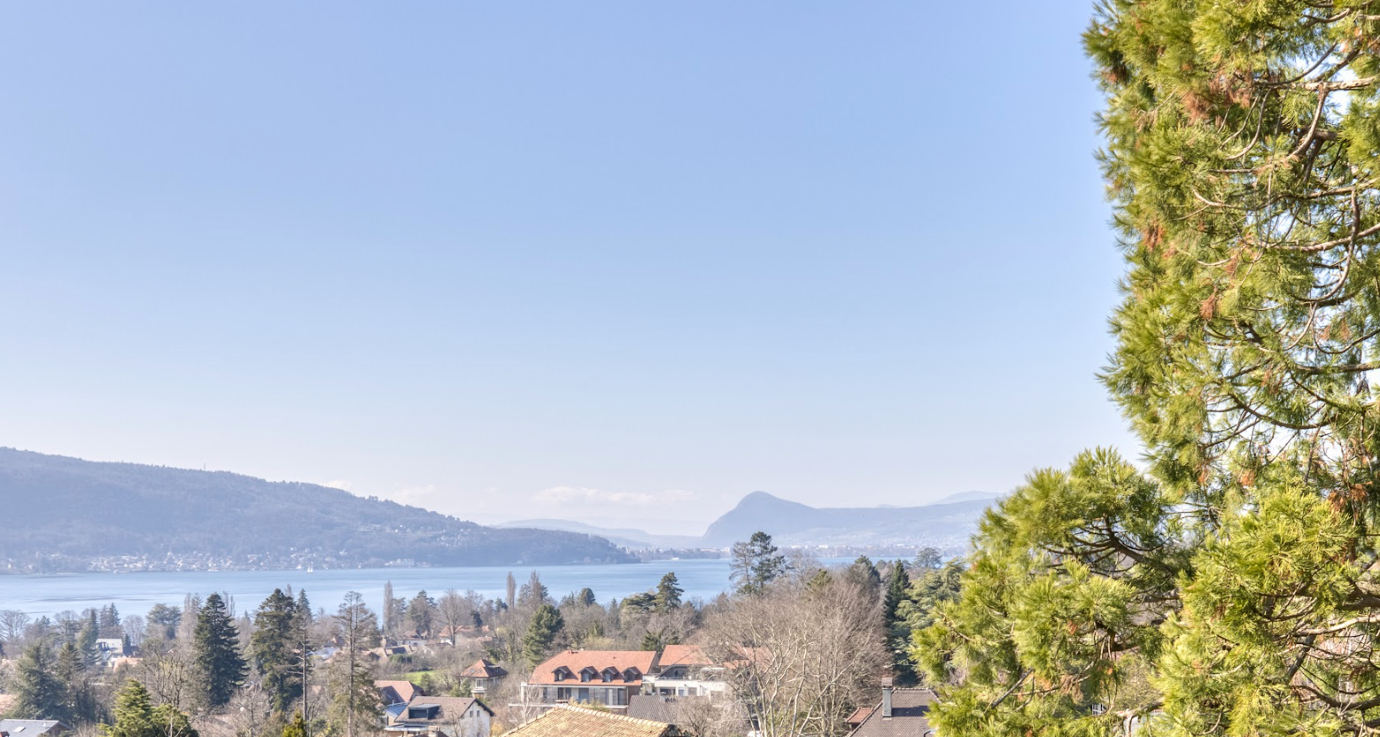 maison 19 Pièces en vente sur MENTHON ST BERNARD (74290)