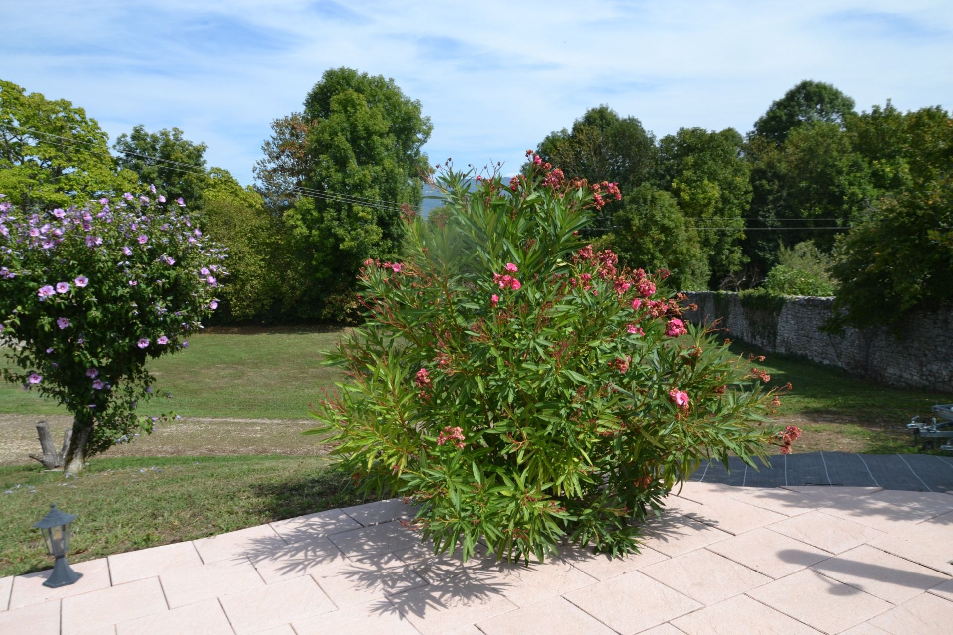 maison 7 Pièces en vente sur CEYZERIEU (01350)