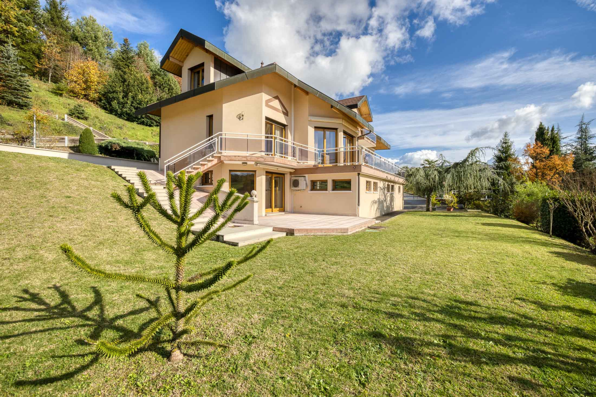 maison 8 Pièces en vente sur FRANGY (74270)