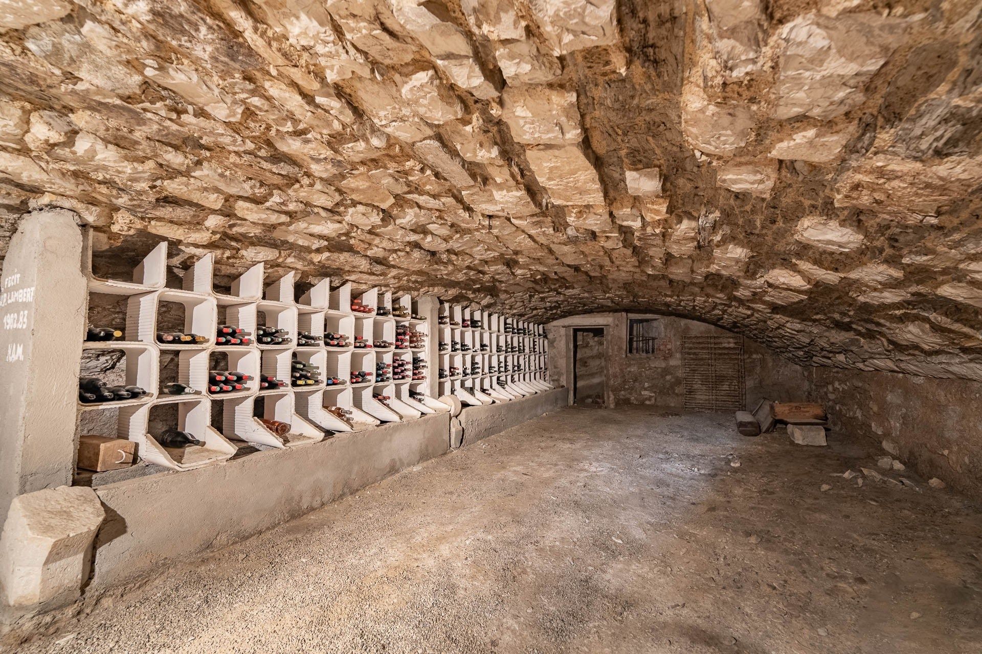 château 13 Pièces en vente sur APREMONT (73190)