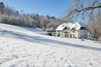 Vente Maison Allonzier-la-Caille 9&nbsp;Pièces 294&nbsp;m²