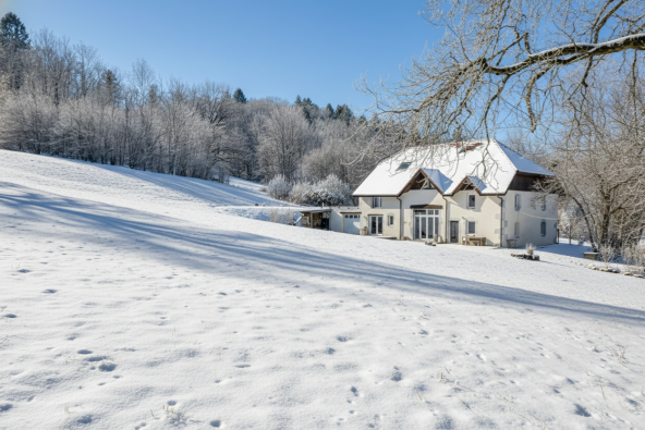 Vente Maison Allonzier-la-Caille 9&nbsp;Pièces 294&nbsp;m²