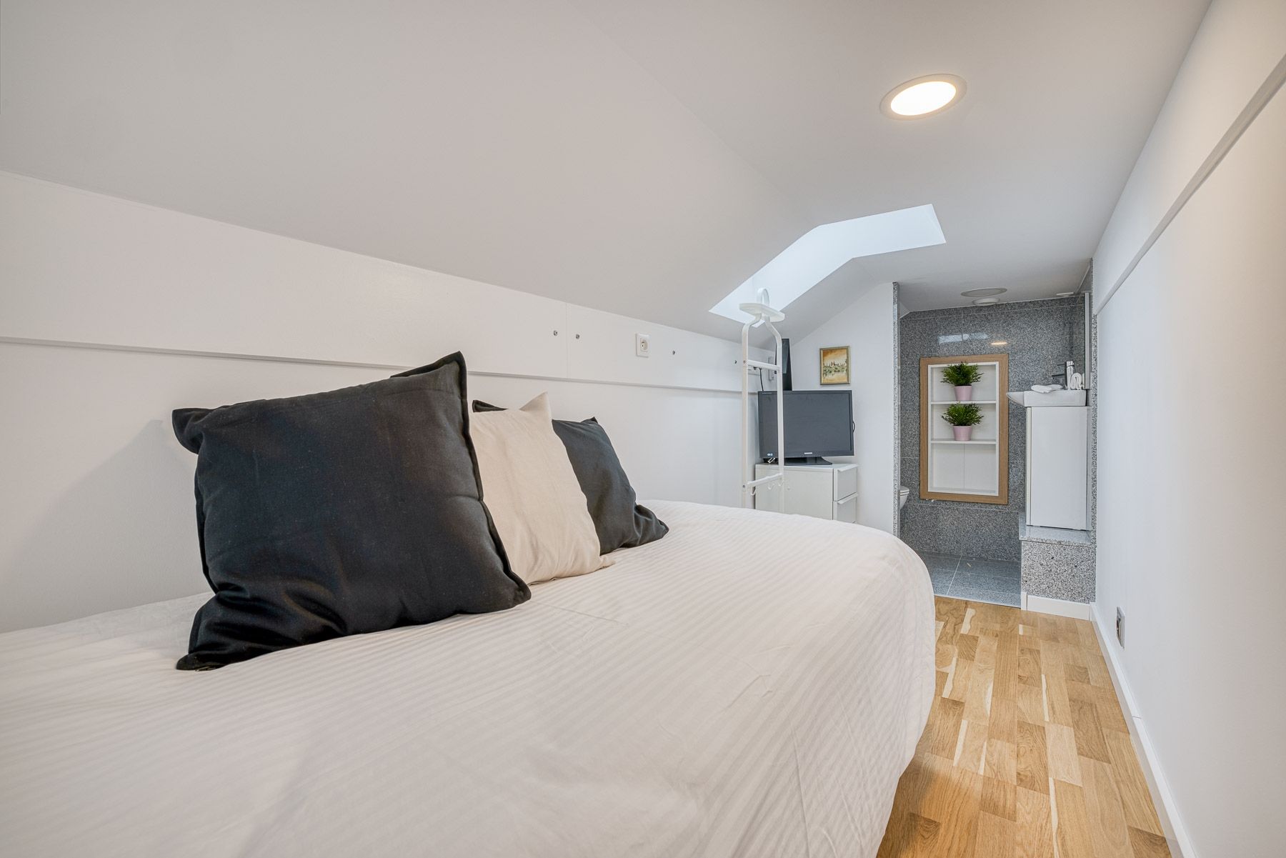 appartement 4 Pièces en vente sur ANNECY (74000)
