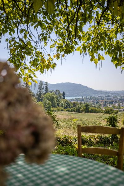 Vente Maison Annecy-le-Vieux 12&nbsp;Pièces 388&nbsp;m²