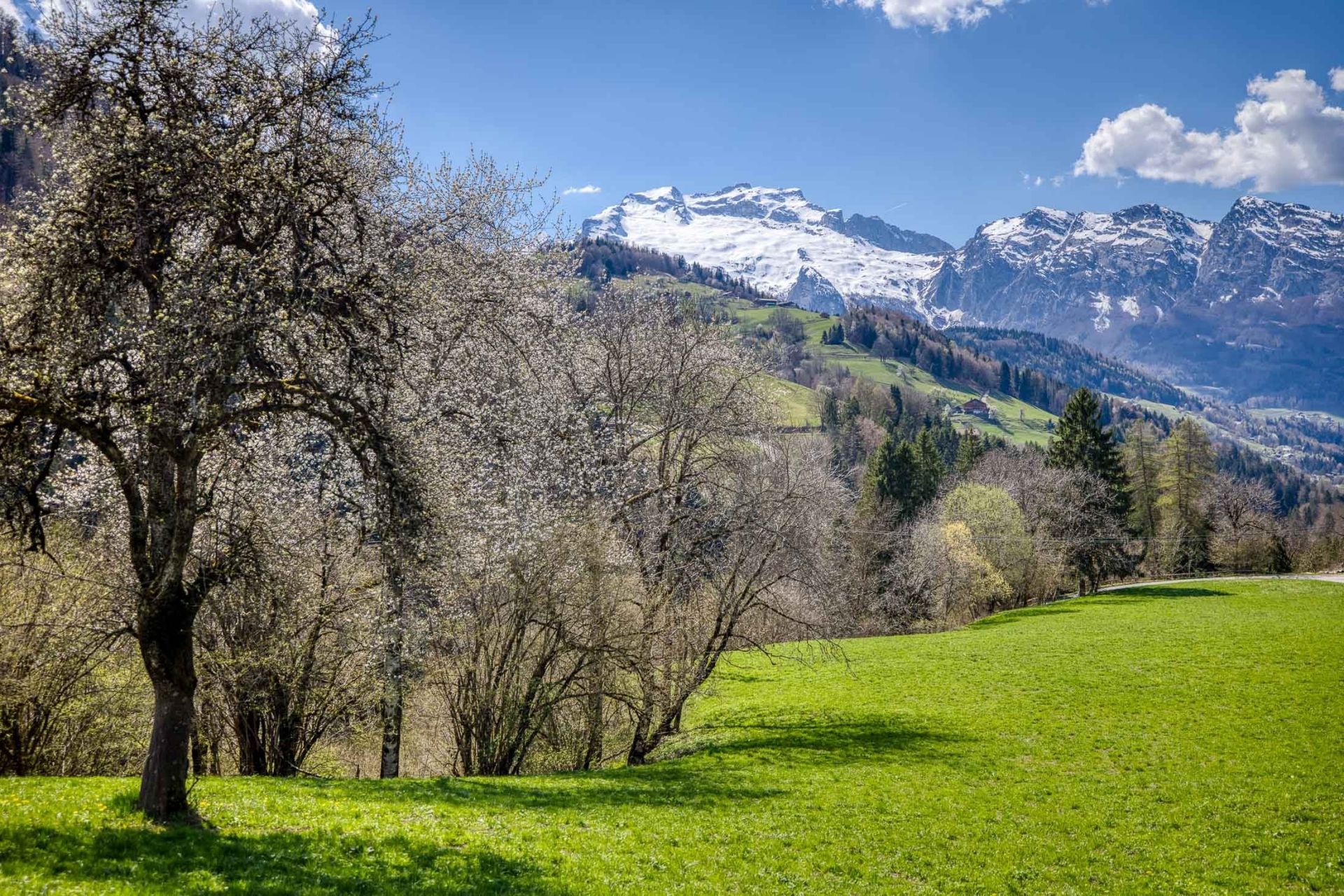 apartment 4 Rooms for sale on MANIGOD (74230)