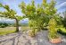 Sale Building Saint-Sylvestre 500 m²