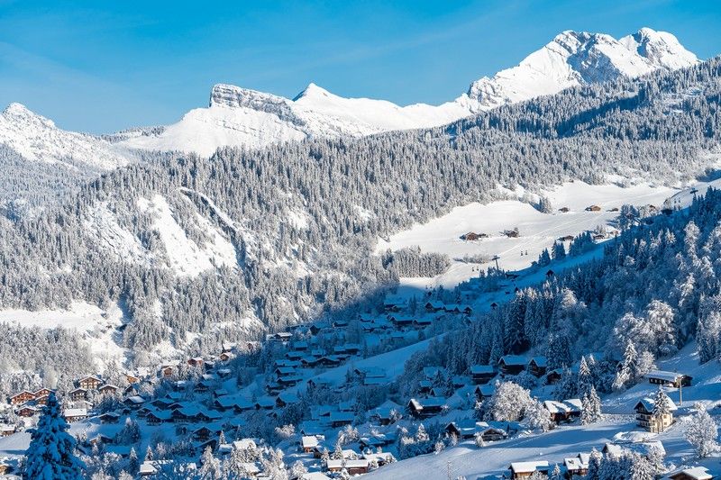 Immobilier en Vente Annecy Sotheby’s International Realty